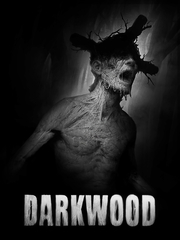 Darkwood (для ПК, цифровой код доступа)