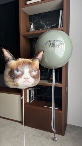 Шары к 23 февраля №53