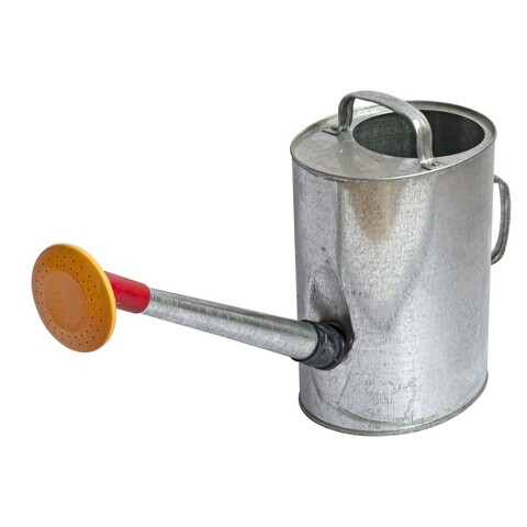 62-1-010 Лейка оцинкованная с насадкой, 10л Россия