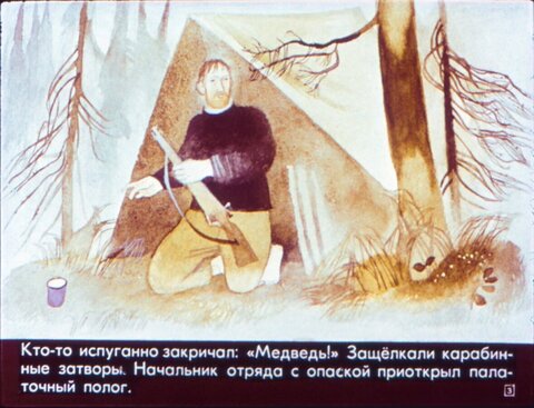 Диафильмы / Набор О животных и природе / 4 пленки