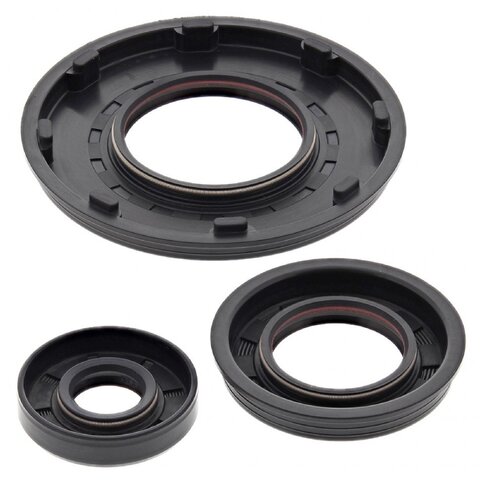 WINDEROSA/VERTEX  55194 Engine Oil Seal Kit (Seal kit)