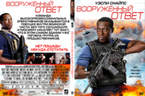 Вооружённый ответ (2017)