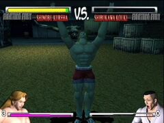 Fighting Fury (Playstation 2)