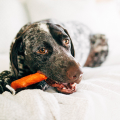 Petstages игрушка для собак Mesquite Dogwood с ароматом барбекю маленькая 16 см