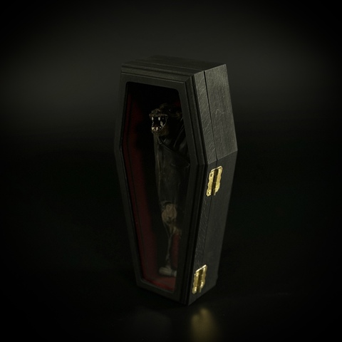 Летучая мышь в гробу