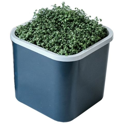 Проращиватель Здоровья Клад графит