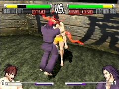 Fighting Fury (Playstation 2)