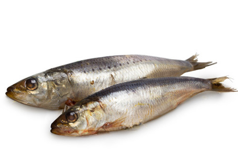 Сельдь Иваси в солевой заливке, 1кг