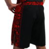 Шорты Hardcore Training Russian Pattern Black/Red