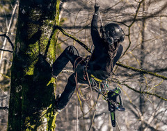 Цепная пила Greenworks GD40TCS 40V (25 см) одноручная аккумуляторная, без АКБ и ЗУ