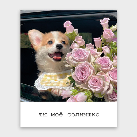 Фото-карточка 