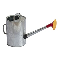 Лейка оцинкованная с насадкой, 10л (Россия) 62-1-010