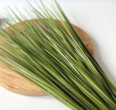 Осока трава кустовая, зелень искусственная, цвет светло-оливковый, 45 см, набор 5 букетов.