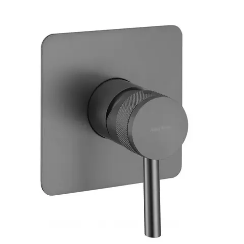 Allen Brau Priority 5.31012-MG Смеситель для душа (с внутренней частью) графит браш