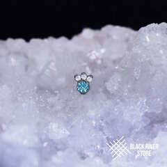 Paw IS Crystal & Mint Green