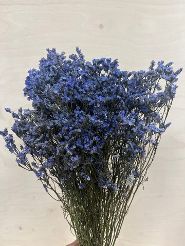 Лимониум Васильковый