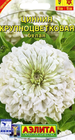 Семена Цинния Крупноцветковая белая, Одн