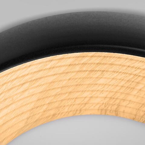 Потолочный светодиодный светильник Loft It Folk 10255/350 Black