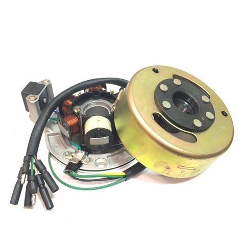 Генератор в сборе с освещением двиг. YX150 / 160 см3