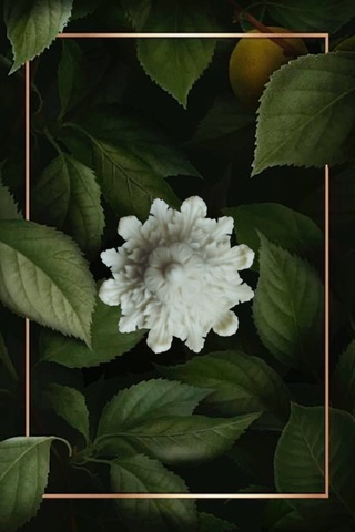 Отливка НШ 758 (6см  )