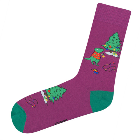 Носки с Динозавром НГ