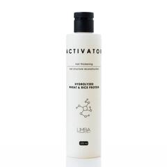 Limba Cosmetics Активатор  Activator Hydrolyzed Wheat&Rice Protein, 250 мл(lmb17)