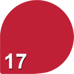 .Alvin D`or LG-16 Жидкая помада Volume Matte (тон 17) 5,6гр