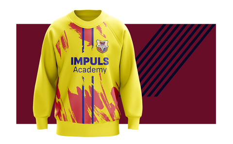 Толстовка IMPULS Academy (детская)