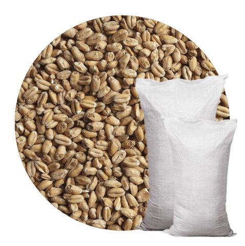 Солод «Пшеничный» Курск 25 кг