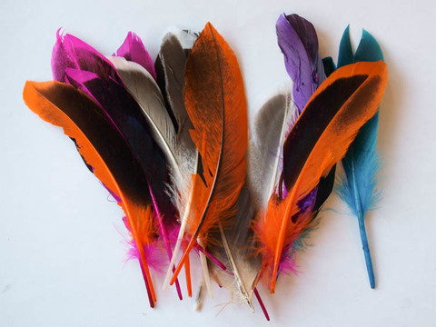 Перья утки декоративные БРАК ,  длина ок. 10-15 см. (выбрать цвет)