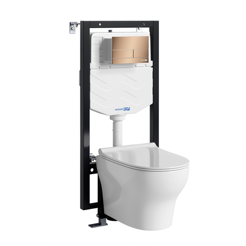 WasserKRAFT Vils 56TLT.010.ME.RG04.H001 Система инсталяции с унитазом