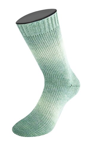 Lana Grossa Meilenweit Woolycell Duo 6007