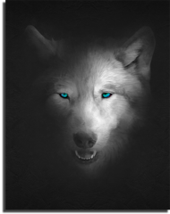 Постер "Волк из темноты"
