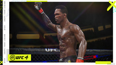 UFC 4 (диск для PS4, интерфейс и субтитры на русском языке)