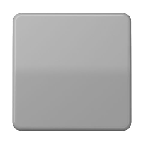 Клавиша одноклавишного выключателя. Цвет Блестящий серый. JUNG CD. CD590BFGR