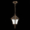 Светильник уличный подвесной ST Luce Domenico SL082.203.01