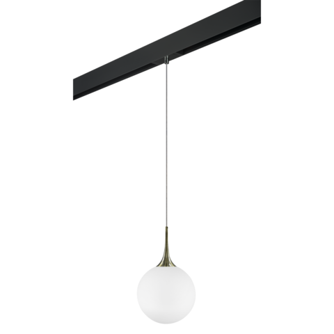 Трековый светильник Lightstar Globo PRO813031