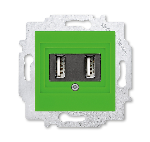 Розетка USB зарядка двойная. Цвет Зелёный. ABB. Levit(Левит). 2CHH290040A6067