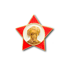 Знак ( Значок ) Нагрудный Октябренка