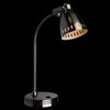 Настольная лампа Arte Lamp Luned A2214LT-1SS