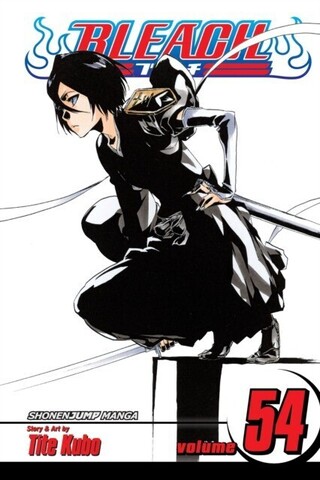 Bleach. Vol. 54 (На английском языке)