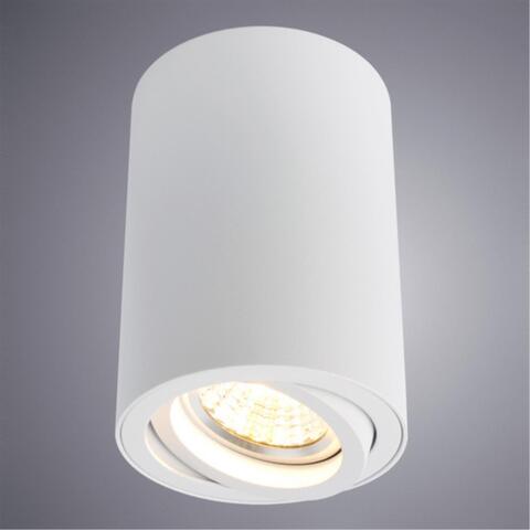 Накладной светильник Arte Lamp SENTRY A1560PL-1WH