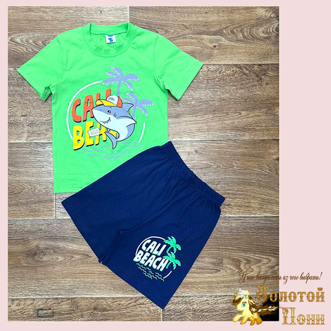 Костюм хлопок м (5-8) 260119-SL6021