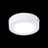 Светильник настенно-потолочный ST Luce ST112.542.06