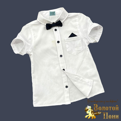 Рубашка хлопок (6-10) 240304-ND51023