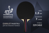 Ракетка Gambler 1 STAR (коническая) фото №19