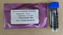 Nitrozyme Concentrate (Нитрозим)