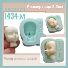 1434-М Молд силиконовый 