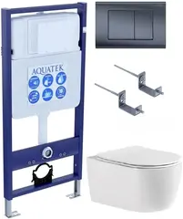 Aquatek Set Aquatek ЕВРОПА T-033 4в1 Set Aquatek ЕВРОПА T-033 4в1 (рам INS-0000012 отдельностоящая + крепление  KKI-0000002 + кнопкаKDI-0000033 +унитаз ЕВРОПА AQ1106T-00  с крышкой фото