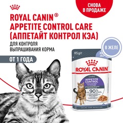 Royal Canin Appetite Control Care Jelly пауч для кошек контроль аппетита в желе 85 гр